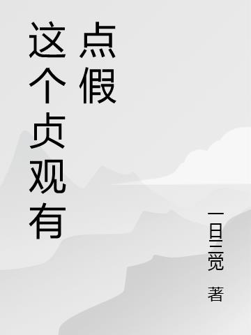 这个贞观有点傻