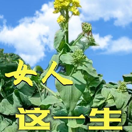 女人这一生